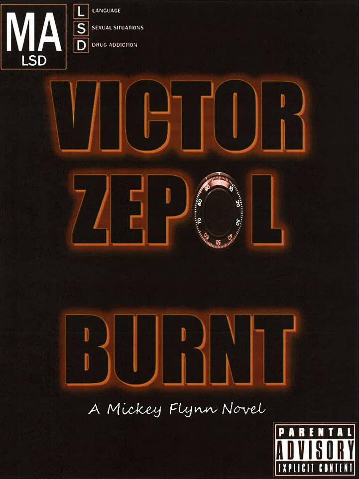 Burnt Book Cover